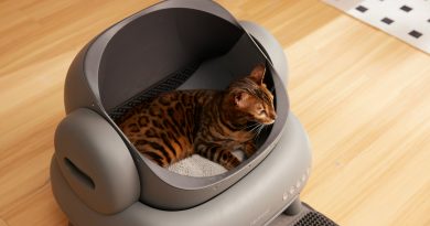 Котешки тоалетни – удобно, чисто и практично решение за всеки дом