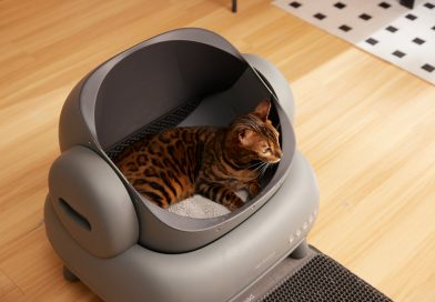 Котешки тоалетни – удобно, чисто и практично решение за всеки дом Котешки тоалетни – удобно, чисто и практично решение за всеки дом