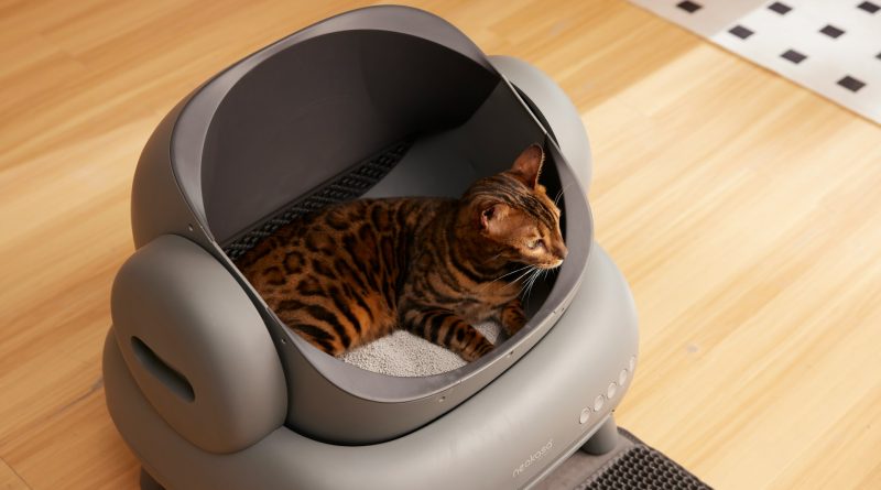 Котешки тоалетни – удобно, чисто и практично решение за всеки дом